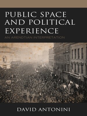 cover image of Public Space and Political Experience